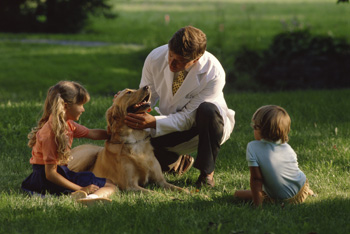 veterinaire_contenu